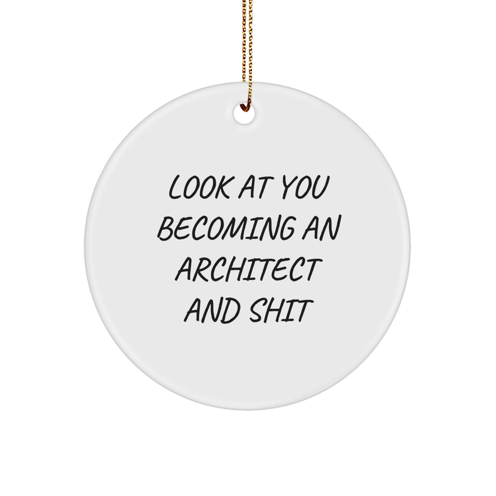 Funny Architect Circle Ornament Gifts from Friends, Christmas Unique Gifts for Men, Women, or Coworkers with Look At You Becoming An Architect And Shit Quote - Image 1