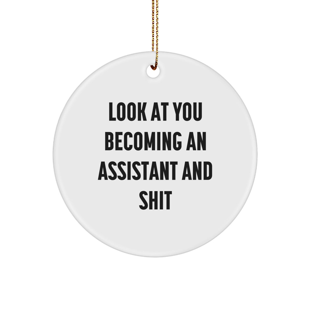 Funny Assistant Gifts from Friends for Christmas - 'Look At You Becoming An Assistant And Shit' Circle Ornament - Image 1