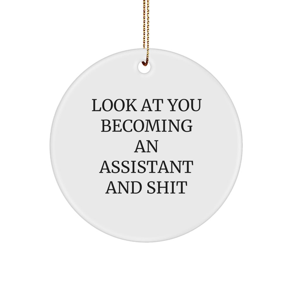 Funny Assistant Gifts for Christmas - Circle Ornament with Look At You Becoming An Assistant And Shit Quote, Gifts from Friends to Coworkers - Image 1