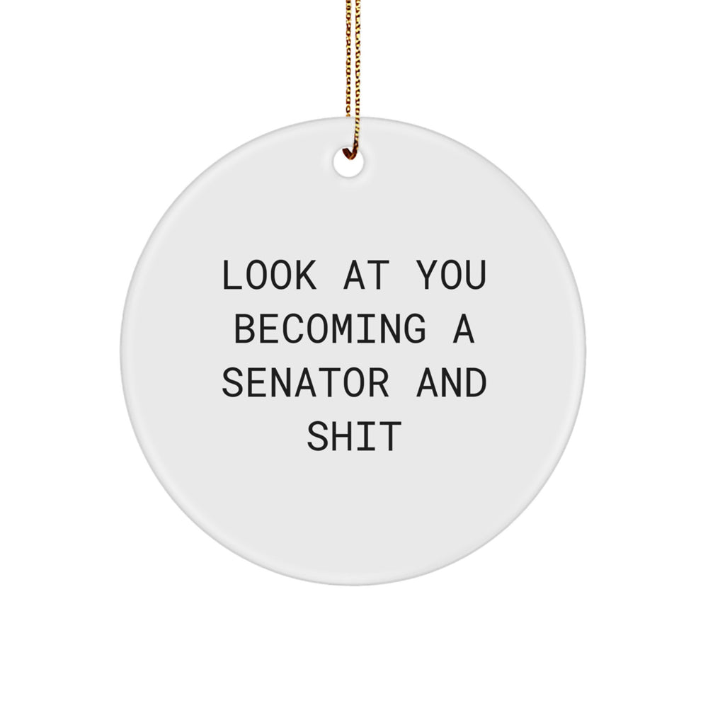 Senator Gifts from Friends, Funny Circle Ornament, Look At You Becoming A Senator And Shit, Christmas Unique Gifts for Men and Women - Image 1