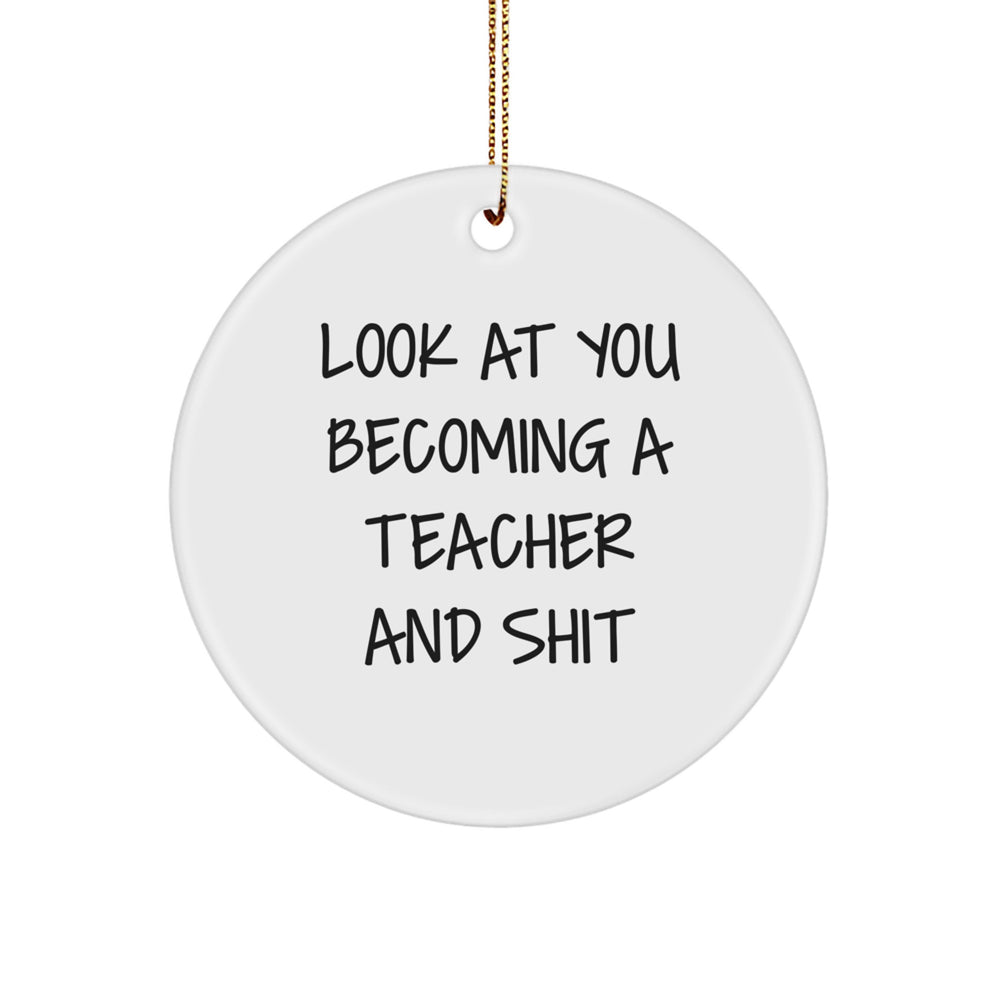 Funny Teacher Gifts, Unique Circle Ornament, Gifts from Family to Teacher, Christmas Unique Gifts for Men Women Friends - Image 1