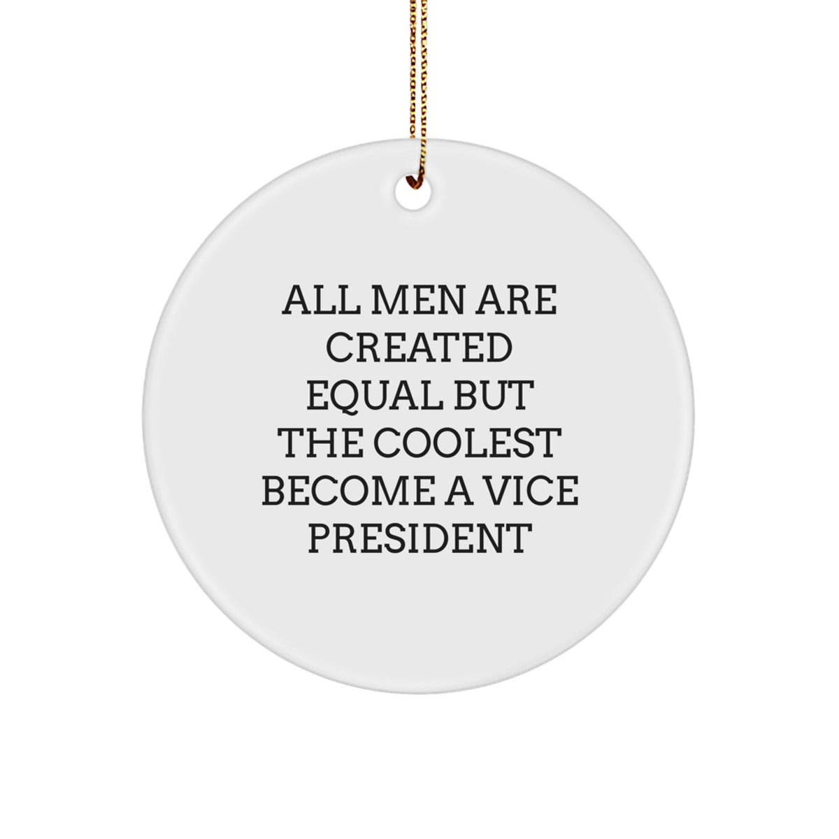 Funny Vice President Gifts from Men for Vice President at Christmas Unique Office Decorations Circle Ornament - Image 1