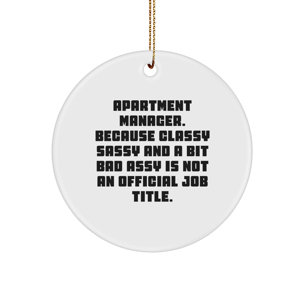 Funny Gifts from Coworkers for Apartment Manager - Classy Sassy And A Bit Fearlessy Circle Ornament for Christmas - Image 1