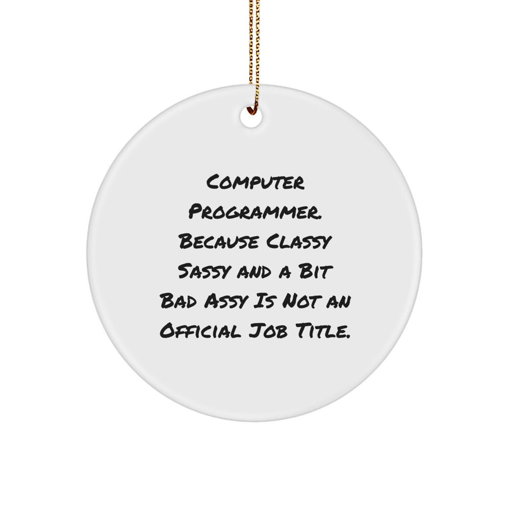 Funny Computer Programmer Gifts from Friends for Men Women Family - Circle Ornament with Sassy Quote by Computer Programmer - Image 1