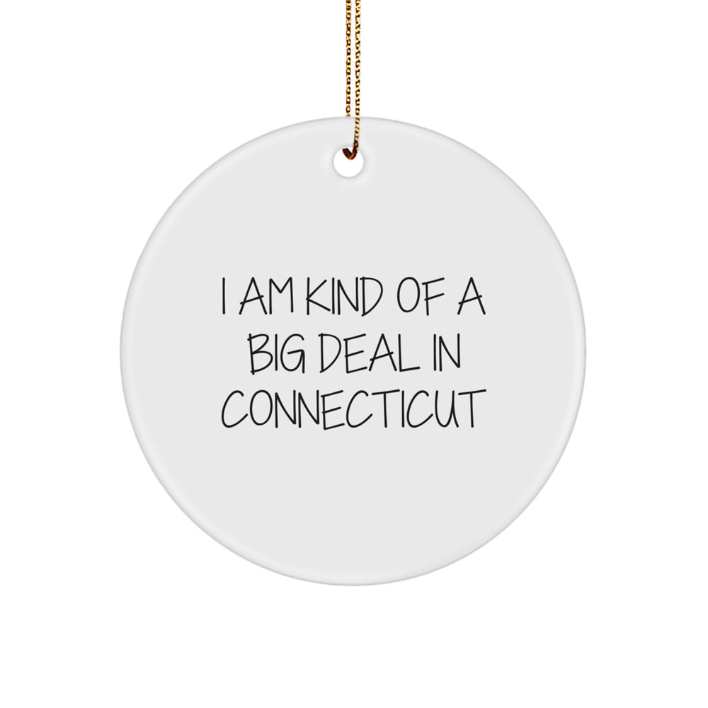 Connecticut Gifts from Friends, Family, Coworkers - I Am Kind Of A Prime Selection In Connecticut Circle Ornament for Men, Women, Friends, Coworkers, Family, Christmas Unique Gifts - Image 1