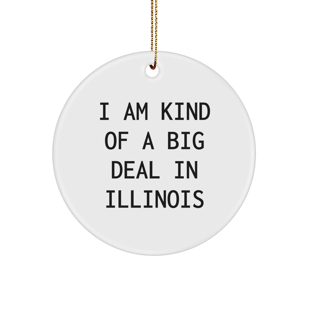 Funny Illinois Circle Ornament, 'I Am Kind Of A Prime Selection In Illinois' Quote, Gifts from Friends and Family, Illinois Gifts, Christmas Unique Gifts - Image 1