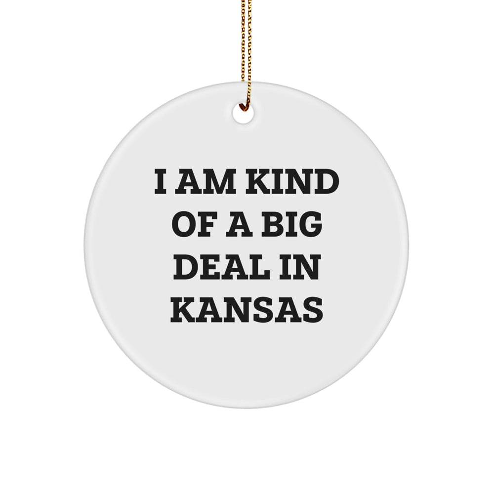 Funny Kansas Circle Ornament Gifts from Friends and Family for Men and Women, 'I Am Kind Of A Prime Selection In Kansas' - Unique Christmas Unique Gift Idea - Image 1