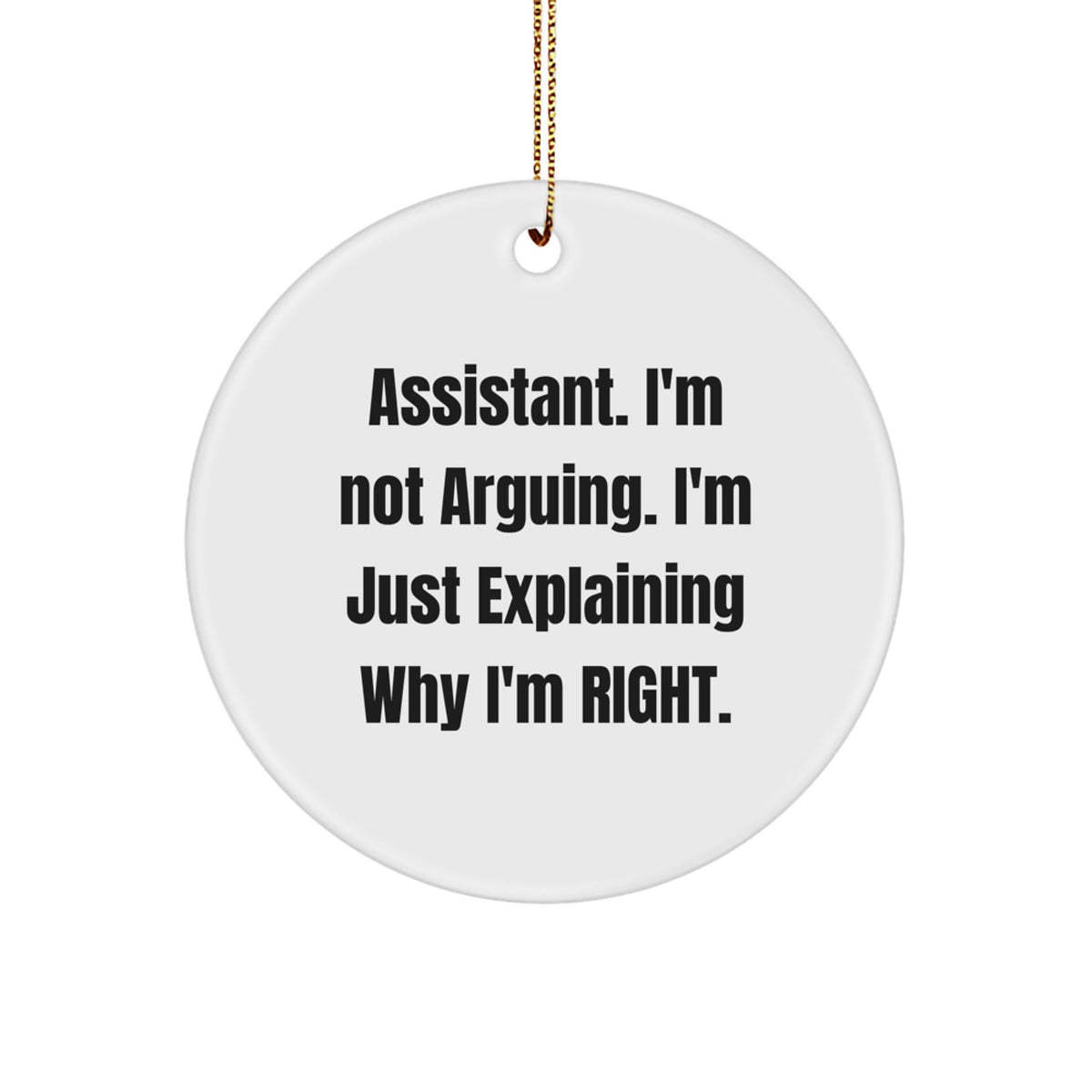 Funny Assistant Gifts for Men Women Friends Family - Circle Ornament, Gifts from Men Women Friends Family - Assistant Decor, Christmas Unique Gifts for Assistant - Image 1