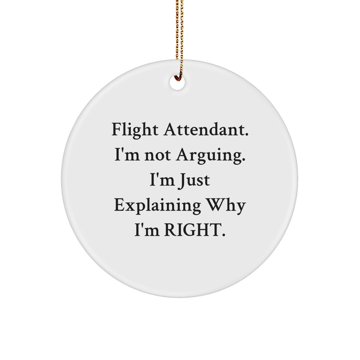 Fun Flight Attendant Gifts from Friends, Christmas Unique Ornaments for Flight Attendant, Circle Ornament Funny Quote - Image 1
