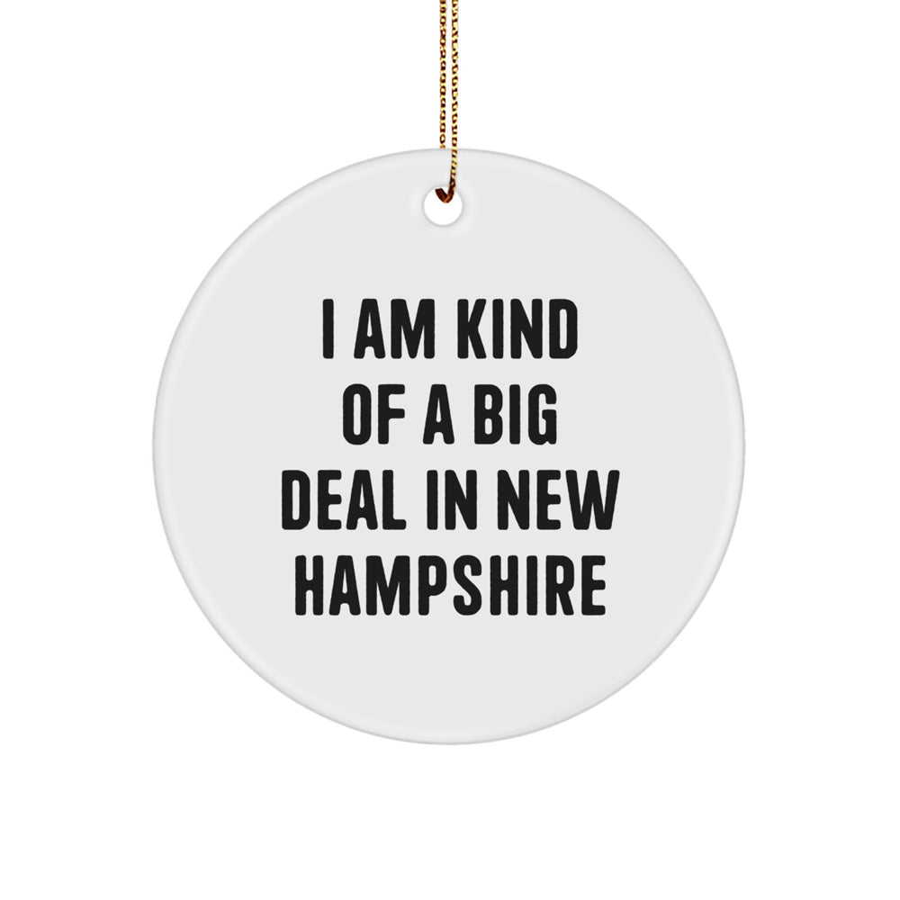 New Hampshire Gifts from Friends, I Am Kind Of A Prime Selection Circle Ornament for Men, Women, Family, Christmas Unique Treasures - Image 1