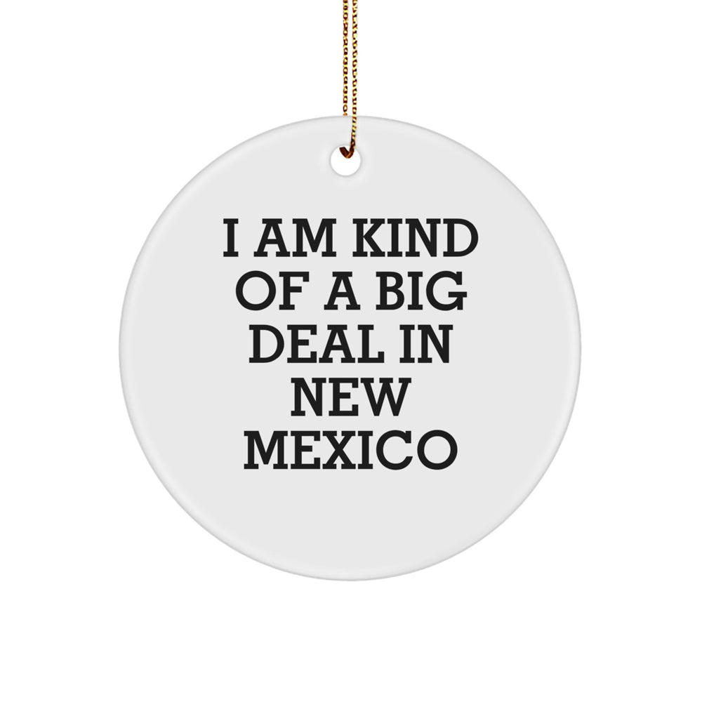 Funny New Mexico Gifts, 'I Am Kind Of A Prime Selection In New Mexico' Circle Ornament for Christmas, Unique Presents from Friends, Family, or Coworkers - Image 1