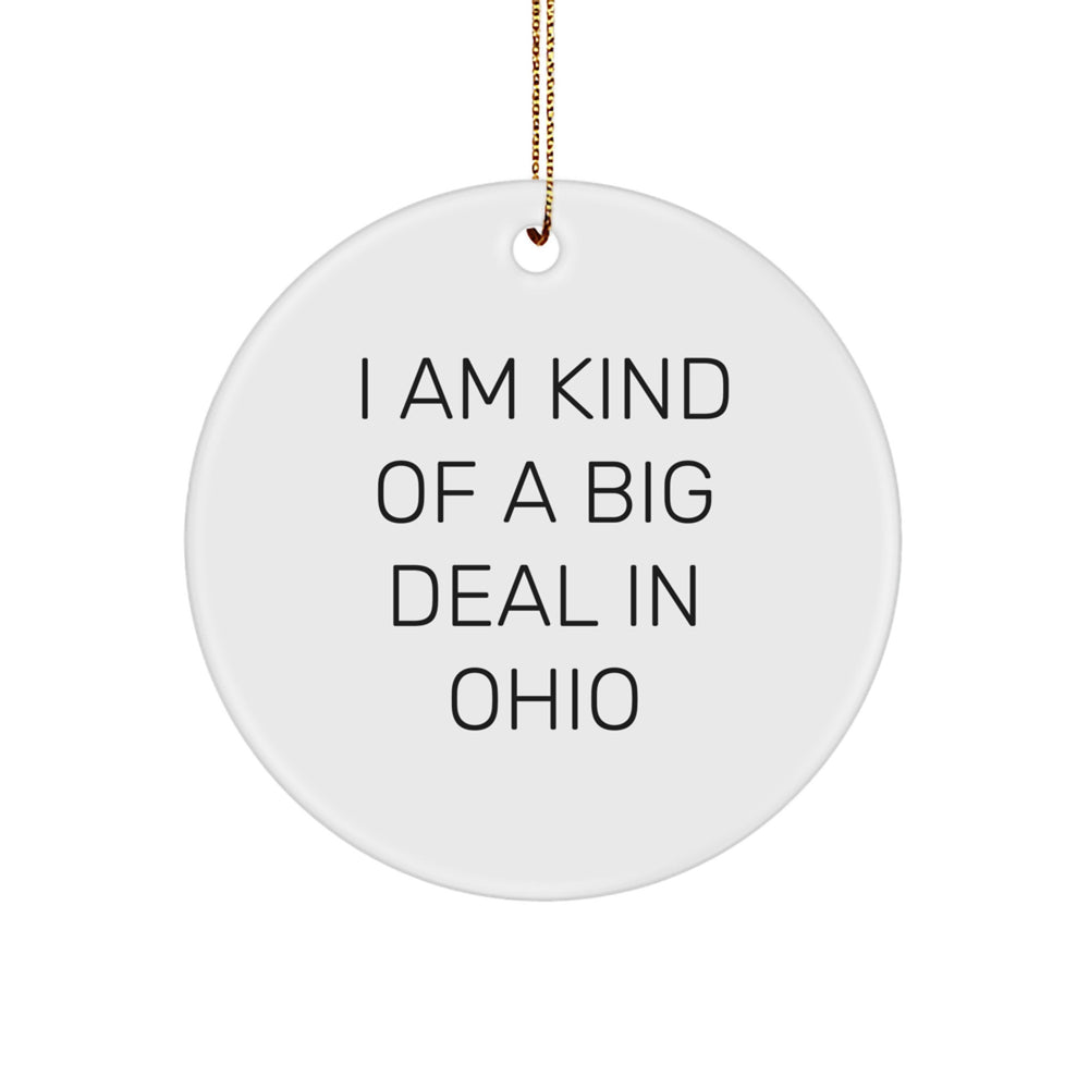 I Am Kind Of A Prime Selection In Ohio Funny Circle Ornament for Ohio Gifts, Christmas Unique Gifts from Friends and Family - Image 1