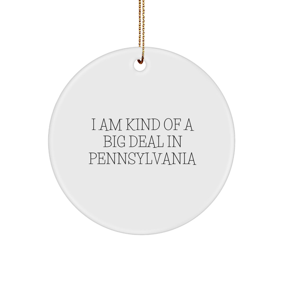 Pennsylvania Circle Ornament I Am Kind Of A Prime Selection Funny Quote Christmas Unique Gifts from Friends and Family - Image 1
