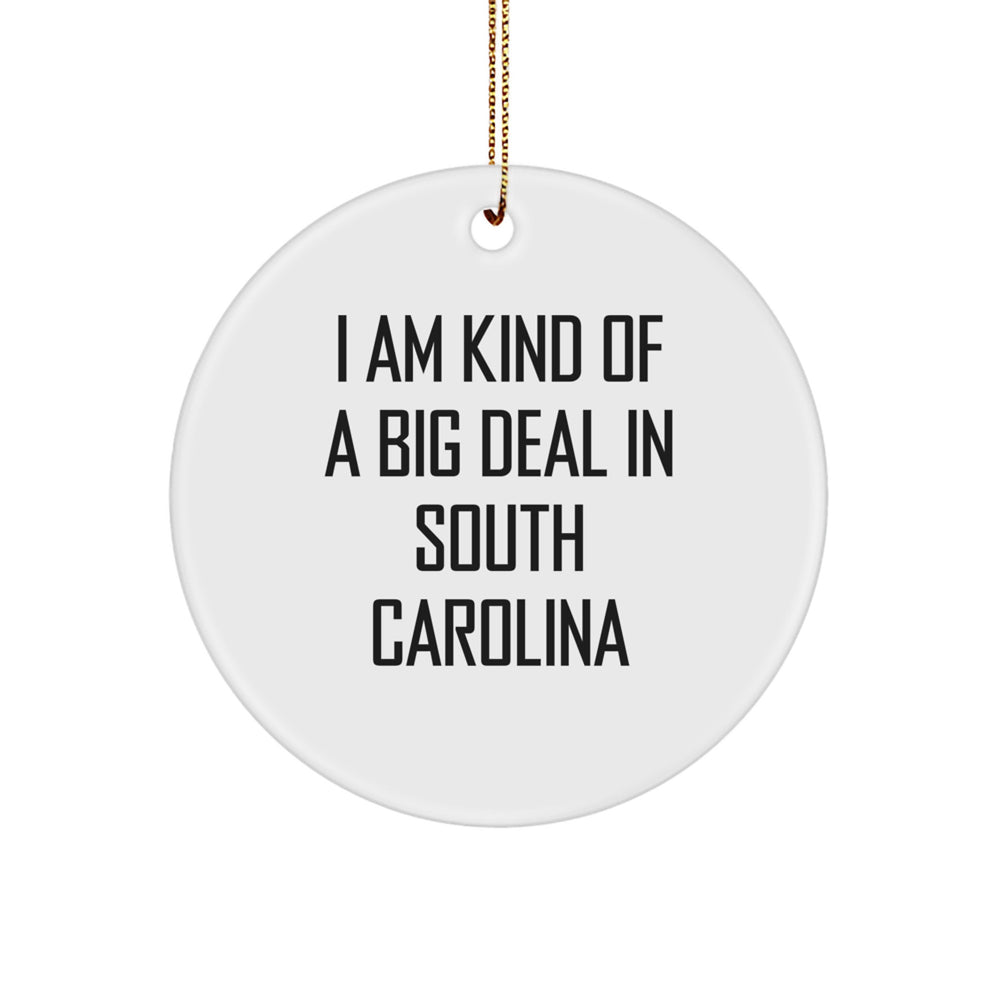 South Carolina Proud Gifts from Friends to Family - 'I Am Kind Of A Prime Selection' Circle Ornament, Funny Christmas Decoration - Image 1