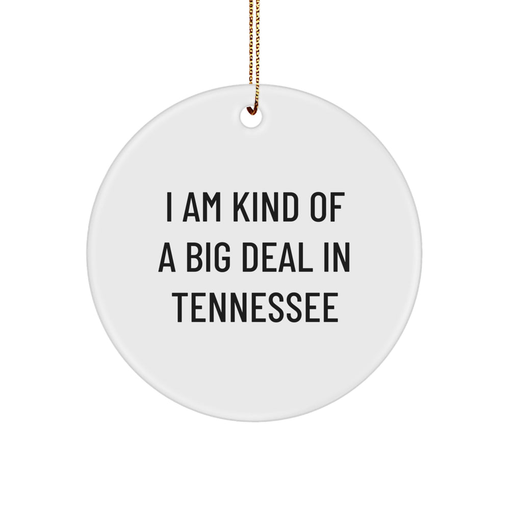 Tennessee Circle Ornament, I Am Kind Of A Prime Selection In Tennessee, Funny Quote Gifts from Friends for Family, Unique Christmas Decorations - Image 1