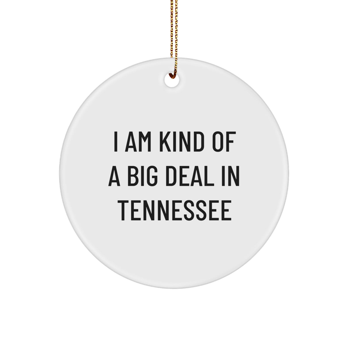 Tennessee Circle Ornament, I Am Kind Of A Prime Selection In Tennessee, Funny Quote Gifts from Friends for Family, Unique Christmas Decorations - Image 1