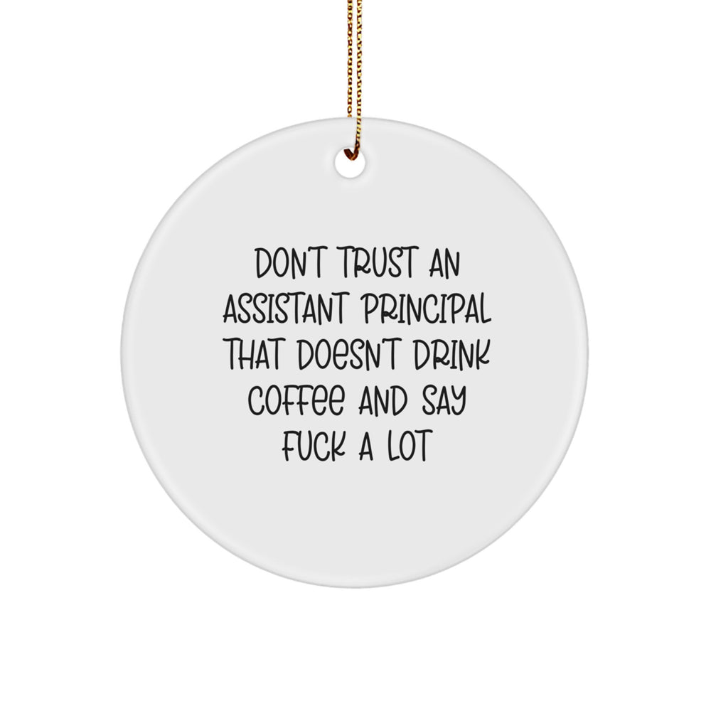 Funny Gifts from Friends for Assistant Principals, A Sarcastic Quote Circle Ornament for Christmas Unique Gifts - Image 1