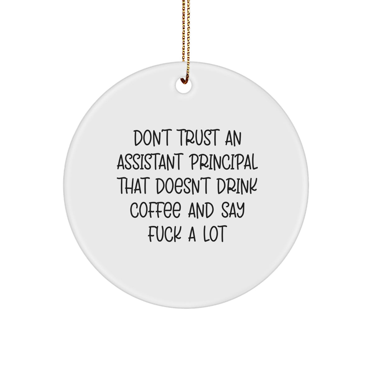 Funny Gifts from Friends for Assistant Principals, A Sarcastic Quote Circle Ornament for Christmas Unique Gifts - Image 1