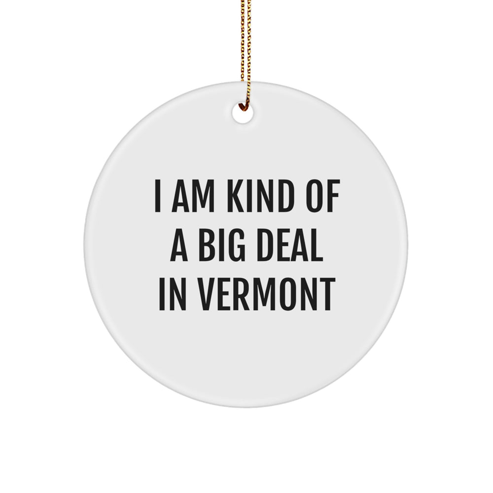 Vermont Circle Ornament I Am Kind Of A Prime Selection Funny Quote Gifts from Friends and Family for Christmas - Image 1
