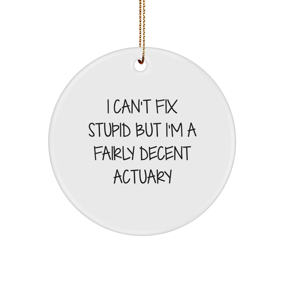 Funny Actuary Gifts for Men - I Can't Fix Stupid But I'm A Fairly Decent Actuary Circle Ornament, Christmas Unique Gifts from Friends to Family - Image 1