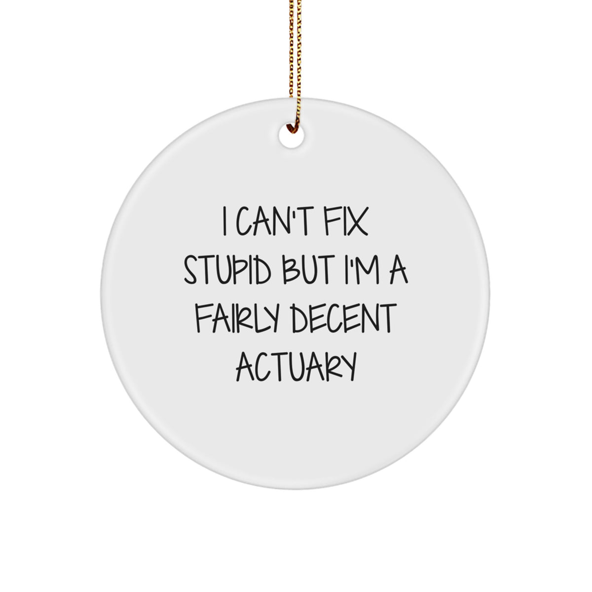 Funny Actuary Gifts for Men - I Can't Fix Stupid But I'm A Fairly Decent Actuary Circle Ornament, Christmas Unique Gifts from Friends to Family - Image 1