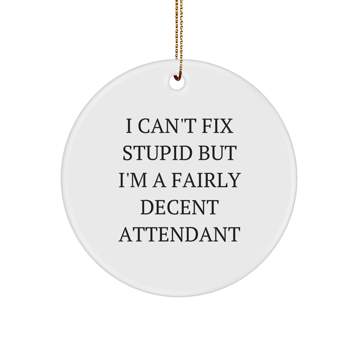 Funny Attendant Gifts from Friends, Christmas Unique Circle Ornament for Men or Women, I Can't Fix Stupid Attendant Humor - Image 1