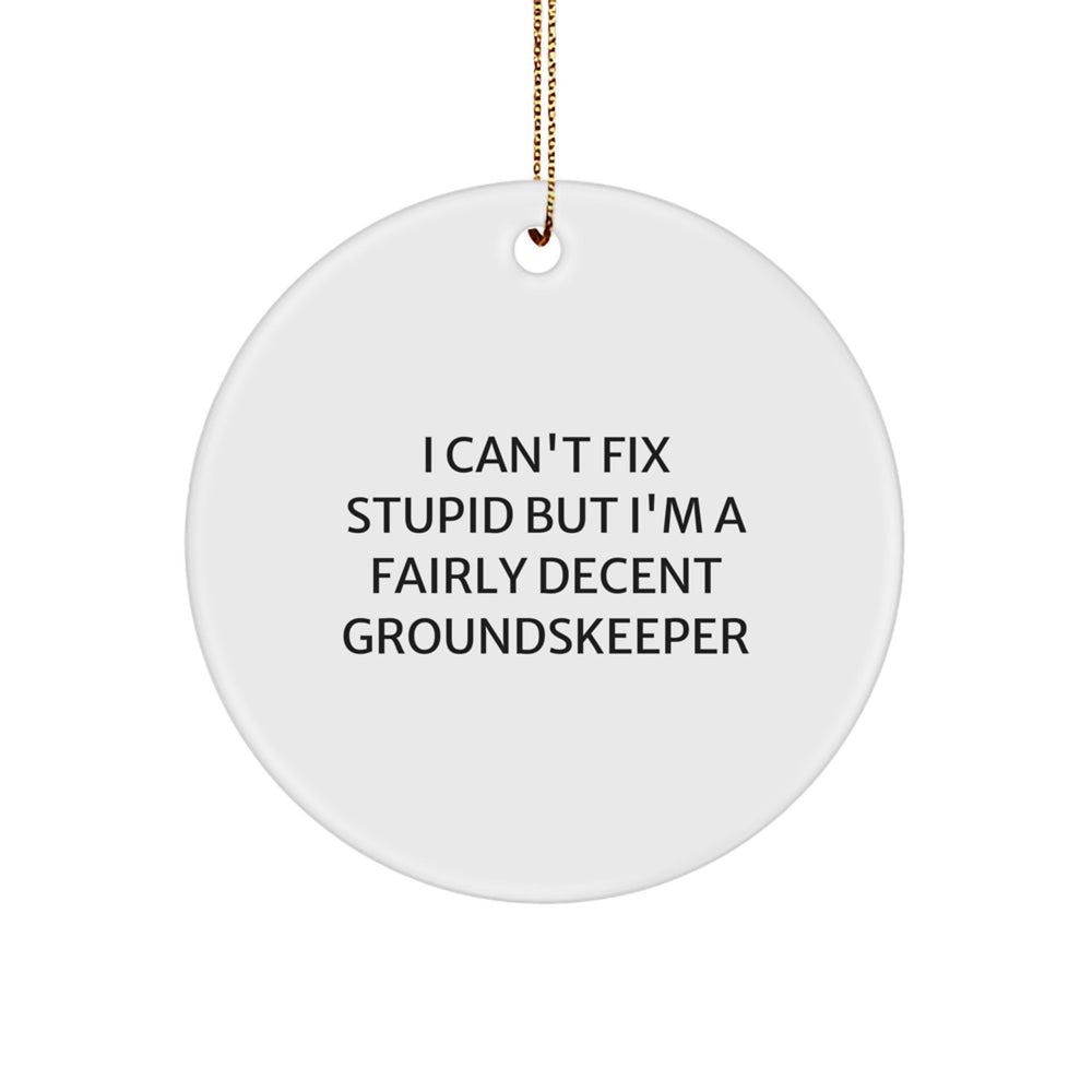 Funny groundskeeper Gifts from Friends - 'I Can't Fix Stupid' Circle Ornament for Men - Image 1