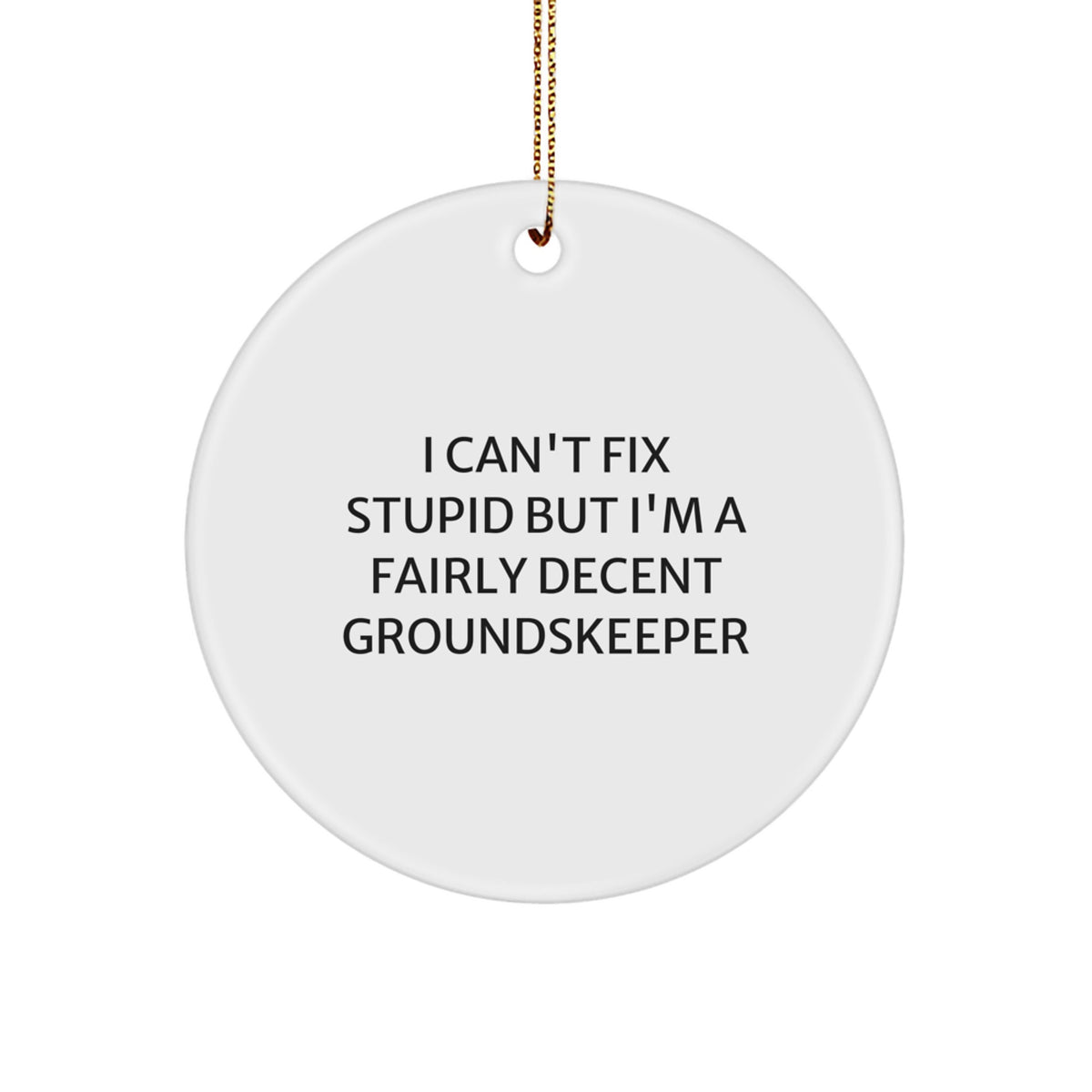 Funny groundskeeper Gifts from Friends - 'I Can't Fix Stupid' Circle Ornament for Men - Image 1