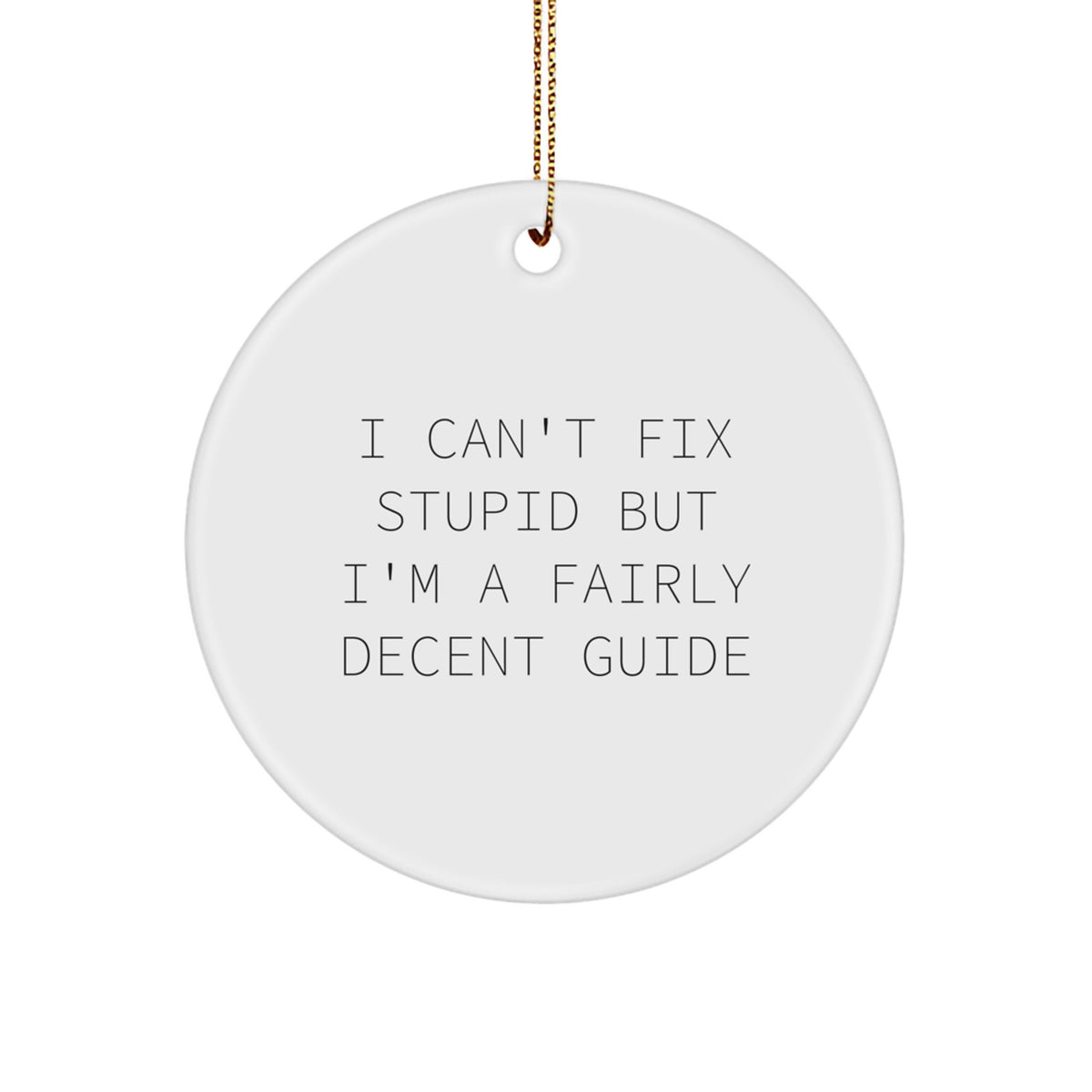 Funny Guide Gifts for Him, I Can't Fix Stupid But I'm A Fairly Decent Guide Circle Ornament, Christmas Unique Gifts from Men, Funny Guide Gifts for Guide Enthusiasts - Image 1