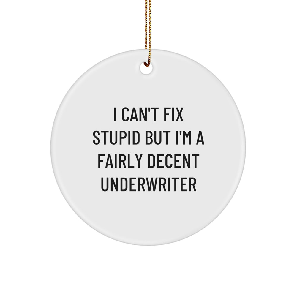 Funny Underwriter Gifts for Men, Christmas Unique Ornaments for Underwriter, Circle Shaped Quote 'I Can't Fix Stupid But I'm A Fairly Decent Underwriter' Gifts from Family - Image 1