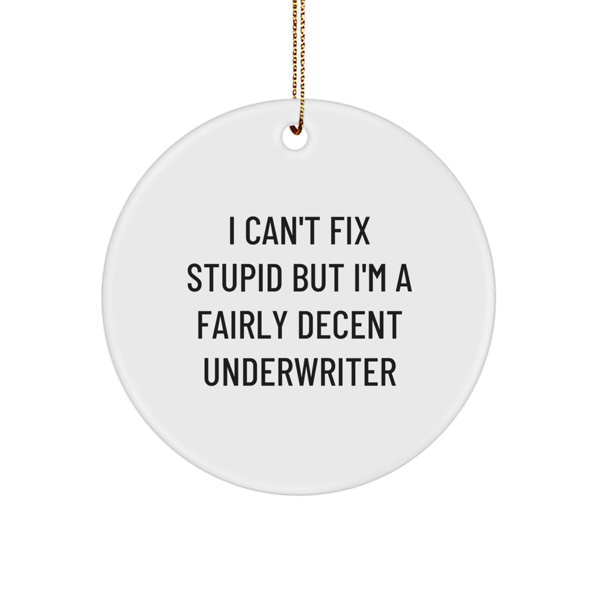 Funny Underwriter Gifts for Men, Christmas Unique Ornaments for Underwriter, Circle Shaped Quote 'I Can't Fix Stupid But I'm A Fairly Decent Underwriter' Gifts from Family - Image 1