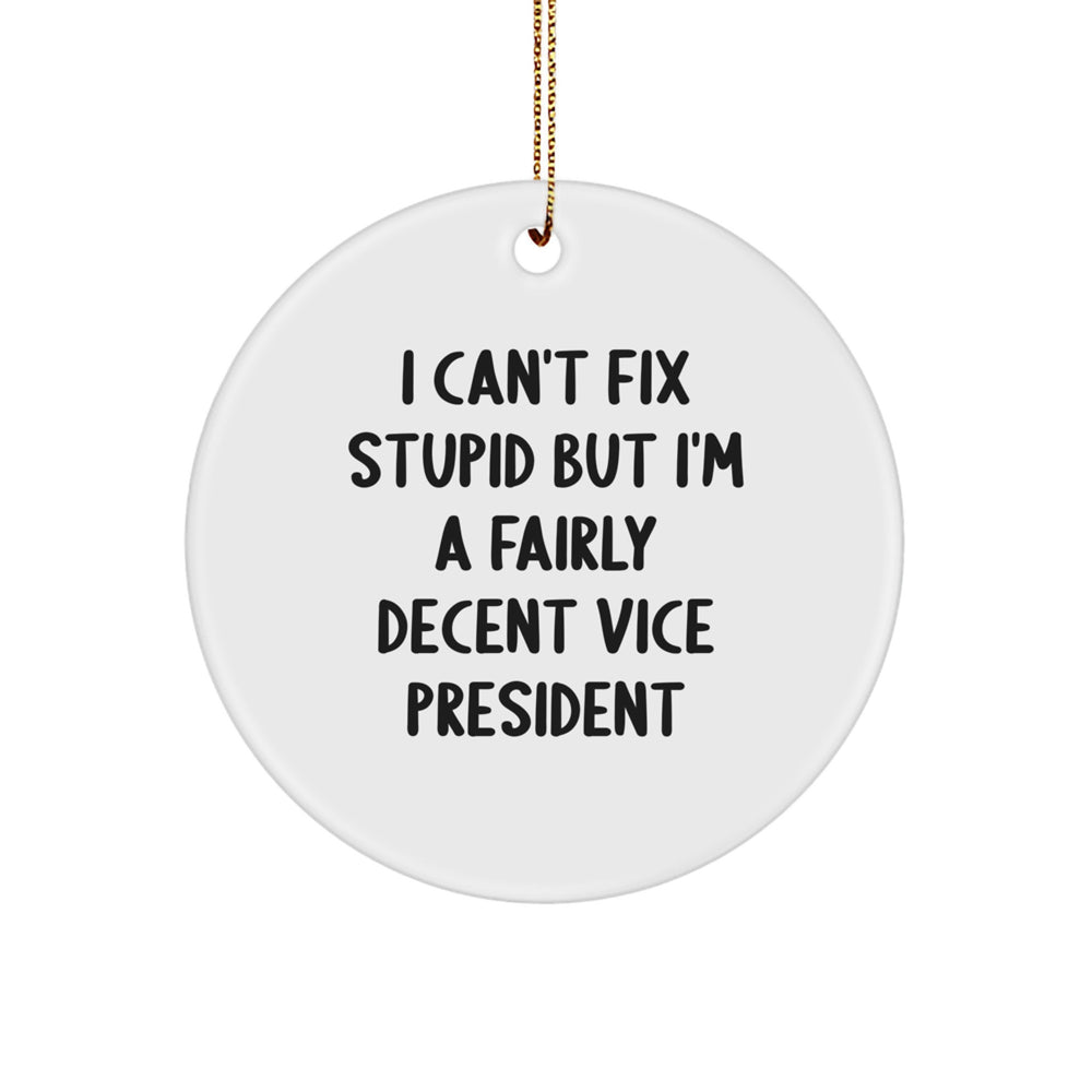 Funny Vice President Gifts, Christmas Unique Ornaments for Office, Circle Decor with I Can't Fix Stupid But I'm A Fairly Decent Vice President Quote, Gifts from Friends and Family - Image 1