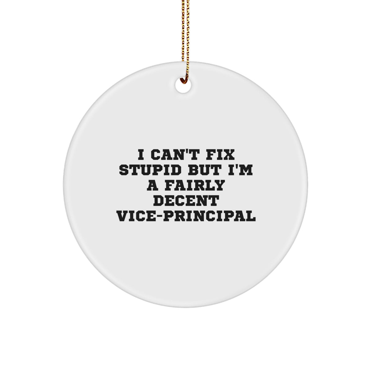 Funny Vice-principal Gifts for Men, Women, Family - I Can't Fix Stupid But I'm A Fairly Decent Vice-principal Christmas Unique Circle Ornament - Image 1