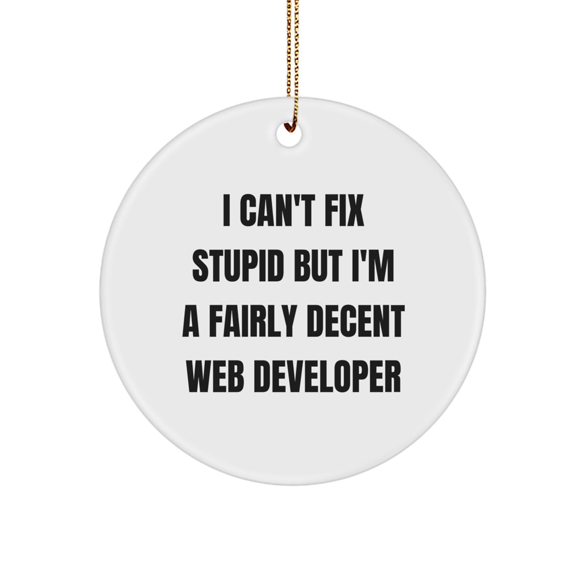 Funny Web Developer Circle Ornament Gifts from Friends to Web Developer - I Can't Fix Stupid But I'm A Fairly Decent Web Developer Christmas Unique Gifts - Image 1