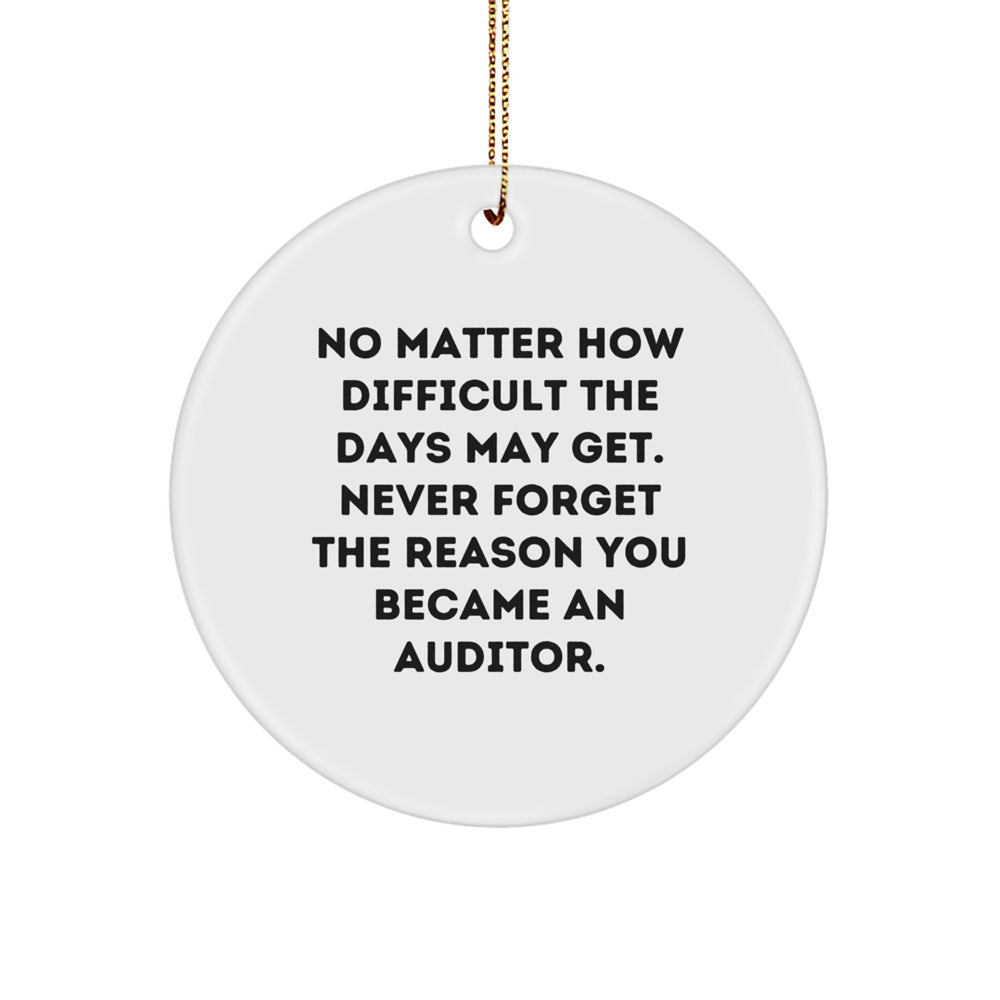 Funny Auditor Circle Ornament Gifts from Friends for Christmas, Inspirational Motivational Desk Decoration, Unique Office Gift for Men Women Coworkers Family - Image 1