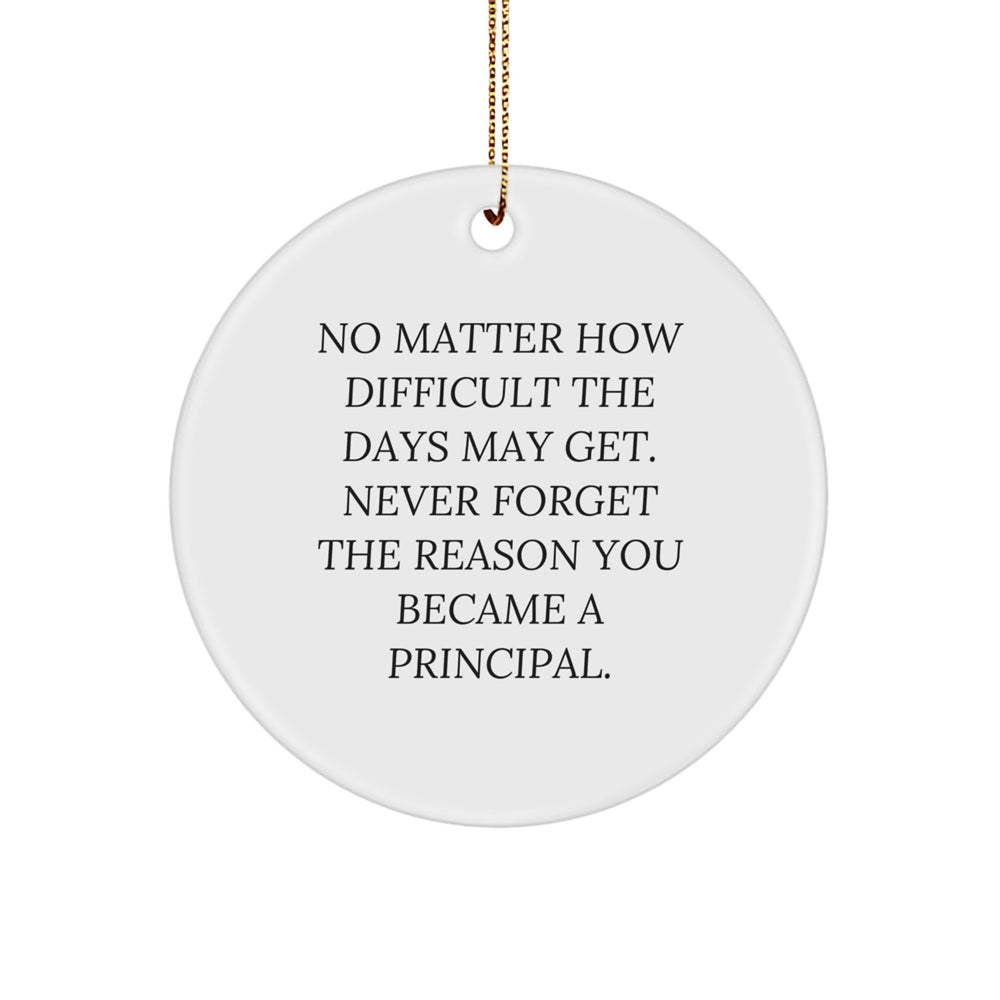 Gifts from Family for Principal - Never Forget the Reason You Became a Principal Christmas Circle Ornament - Image 1