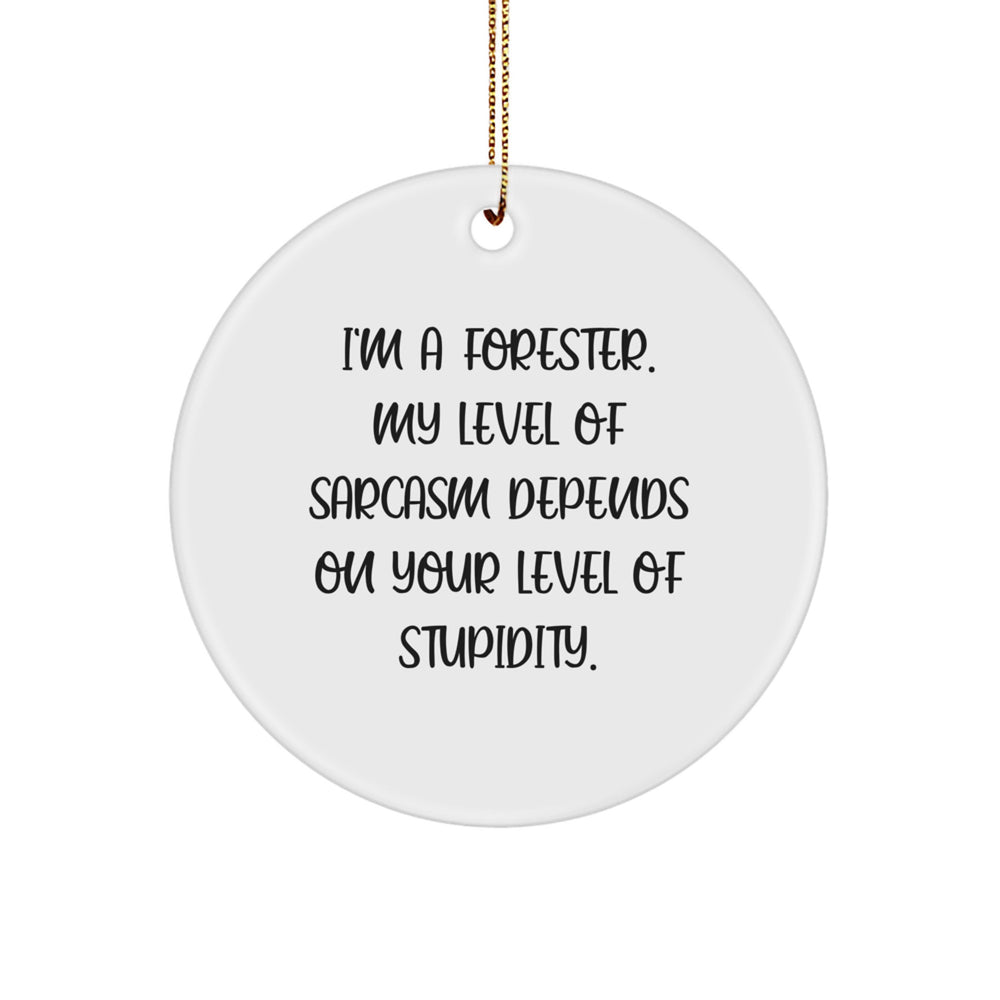 Funny Forester Gifts for Men - Circle Ornament, Sarcasm Humor, Christmas Unique Gifts from Friends - Image 1