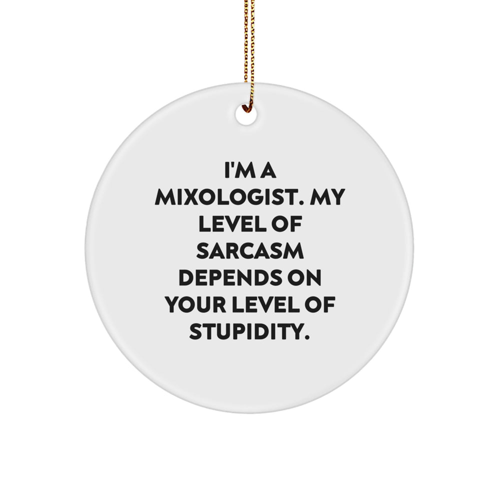 Funny Mixologist Gifts for Christmas, Circle Ornament with Sarcasm Humor, Gifts from Friends to Family - Image 1