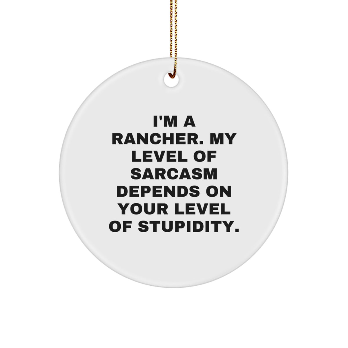 Funny Rancher Gifts, Circle Ornament, I'm a Rancher, Sarcasm Level - Image 1