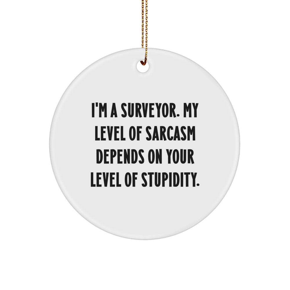 Funny Surveyor Gifts for Men, Unique Circle Ornament with Quote 'I'm A Surveyor. My Level Of Sarcasm Depends On Your Level Of Stupidity.' for Christmas, Gifts from Friends - Image 1