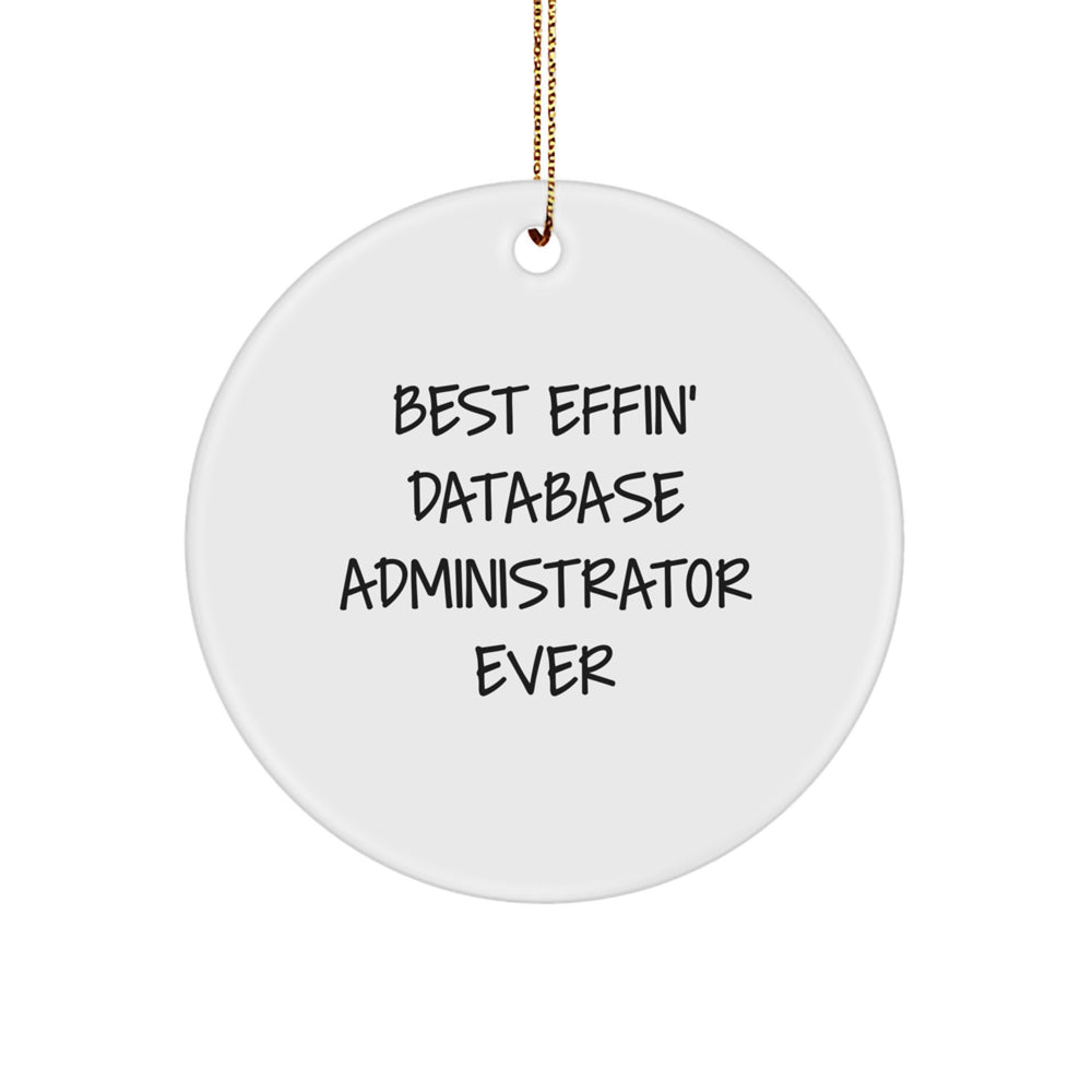 Funny Quote Gifts for Database Administrators - Best Effin' Database Administrator Ever Circle Ornament, Christmas Unique Gifts from Friends, Family, Coworkers, and Men - Image 1