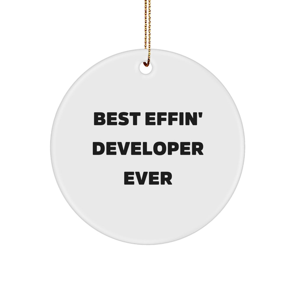 Funny Developer Gifts from Friends - Best Effin' Developer Ever Circle Ornament for Christmas Unique Gifts - Image 1