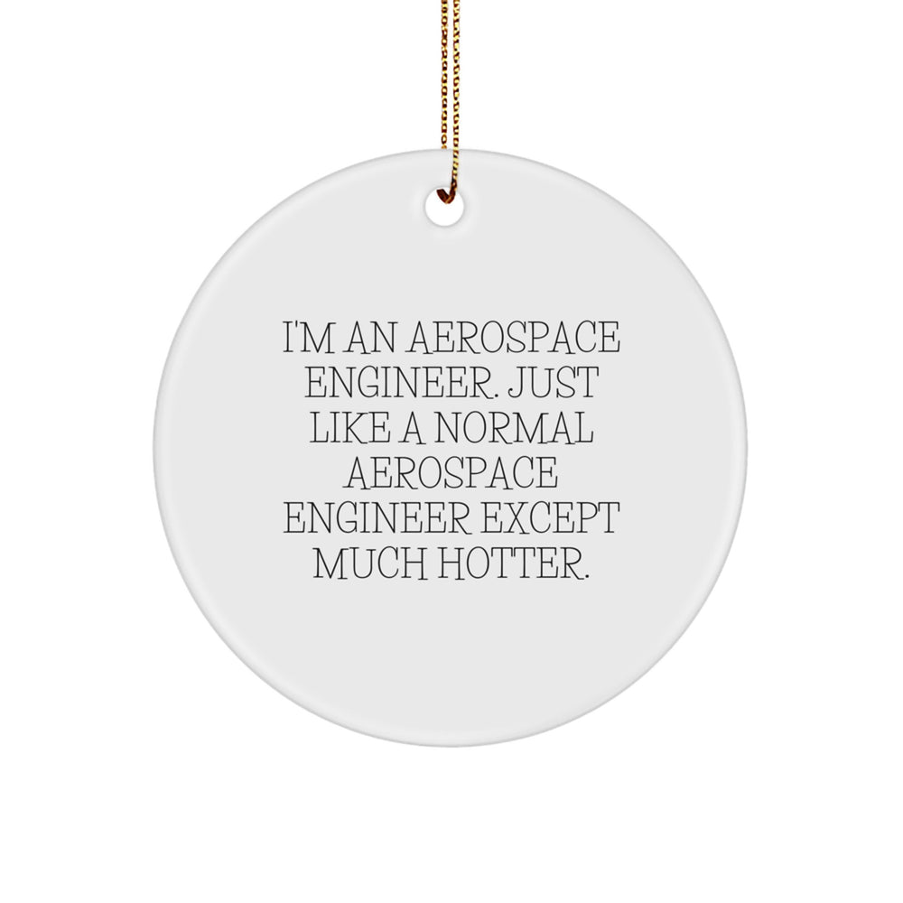 Funny Aerospace Engineer Gifts from Friends for Coworkers - Circle Ornament 'I'm An Aerospace Engineer Except Much Hotter' - Image 1