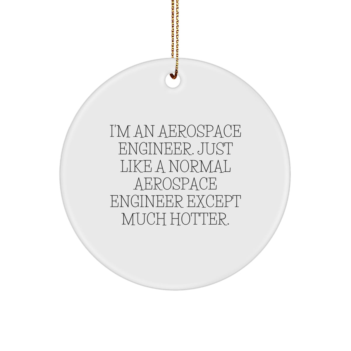 Funny Aerospace Engineer Gifts from Friends for Coworkers - Circle Ornament 'I'm An Aerospace Engineer Except Much Hotter' - Image 1