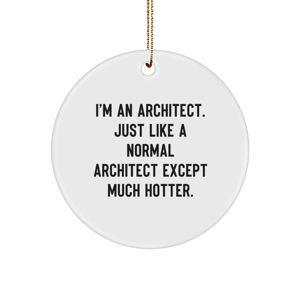 Funny Architect Christmas Unique Gift Circle Ornament, I'm An Architect Quote, Architect Gifts, Unique Christmas Memorable Presents for Him - Image 1