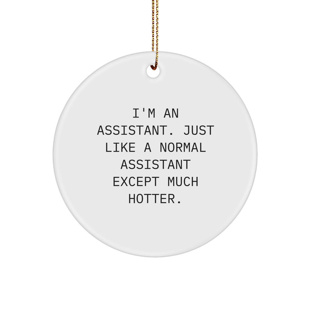 Funny Assistant Gifts from Men to Women for Christmas Unique Circle Ornaments, I'm An Assistant Just Like A Normal Assistant Except Much Hotter. - Image 1