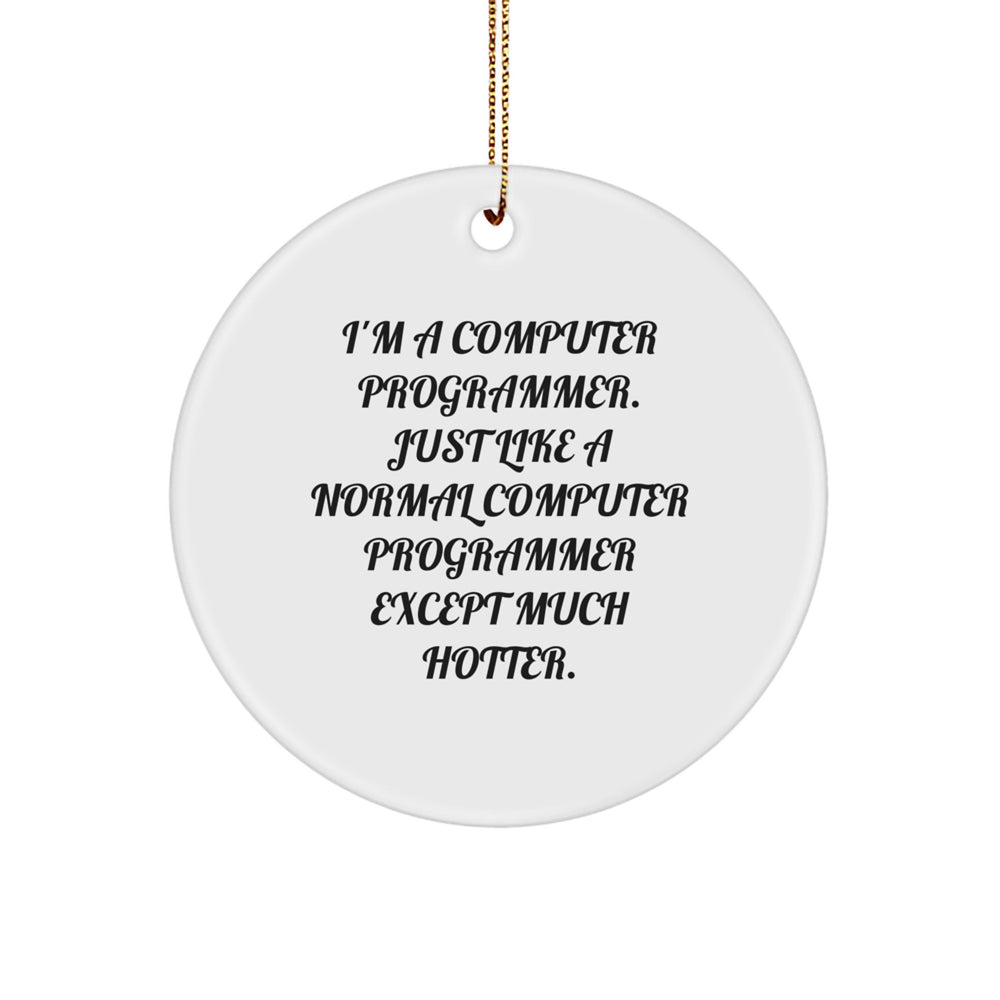 Funny Computer Programmer Gifts - 'I'm A Computer Programmer. Just Like A Normal Computer Programmer Except Much Hotter.' Circle Ornament for Christmas - Image 1