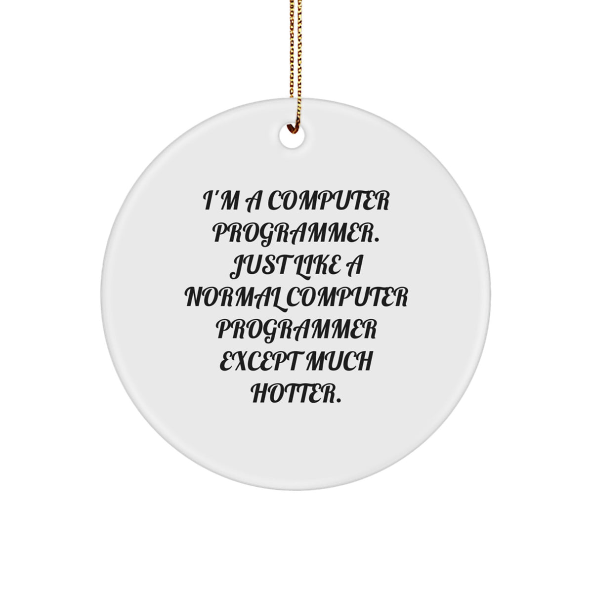 Funny Computer Programmer Gifts - 'I'm A Computer Programmer. Just Like A Normal Computer Programmer Except Much Hotter.' Circle Ornament for Christmas - Image 1