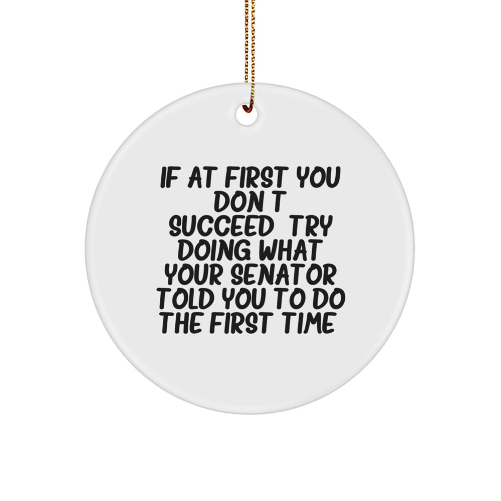 Funny Senator Circle Ornament Gifts from Friends and Family for Senator Christmas Unique - Image 1