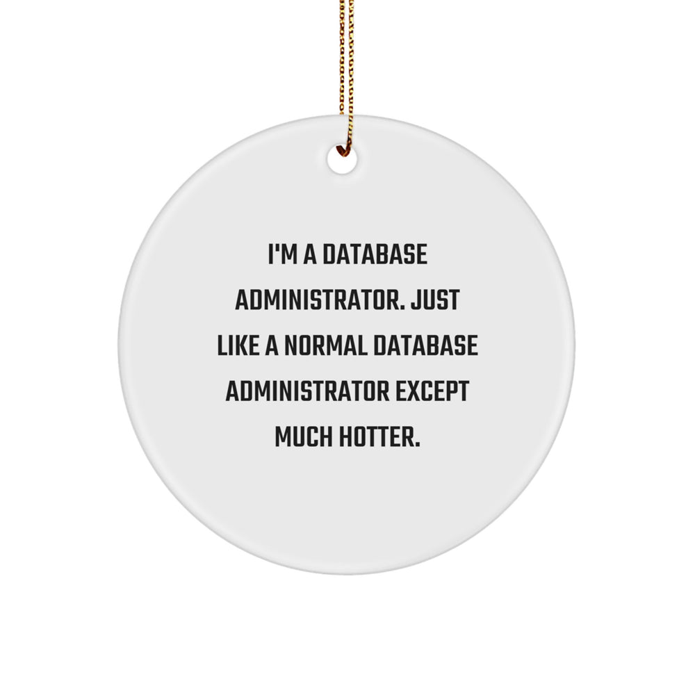 Database Administrator Gifts, Funny Quote Circle Ornament, Gifts from Men to Coworkers, Perfect for Christmas Unique Gifts - Image 1